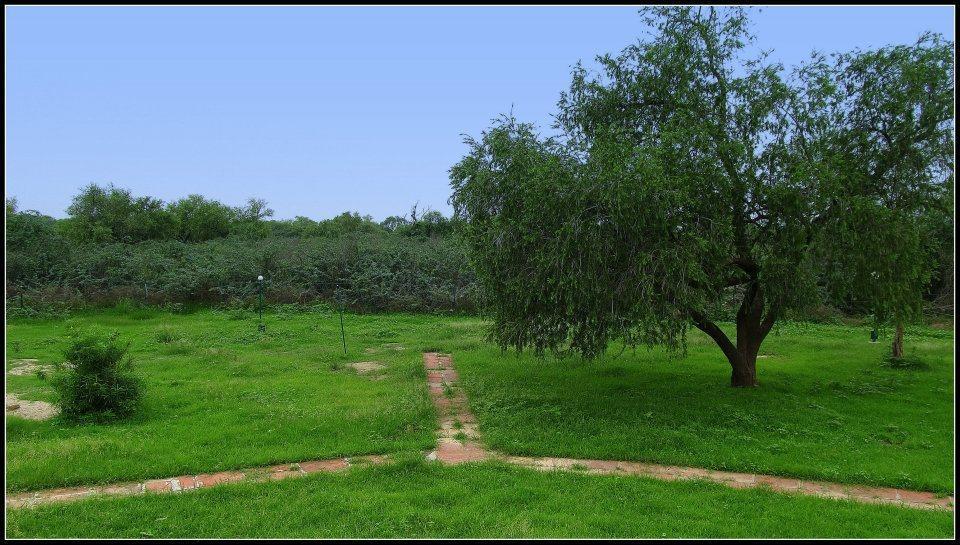 Hotel Bharatpur Ashok Exterior foto