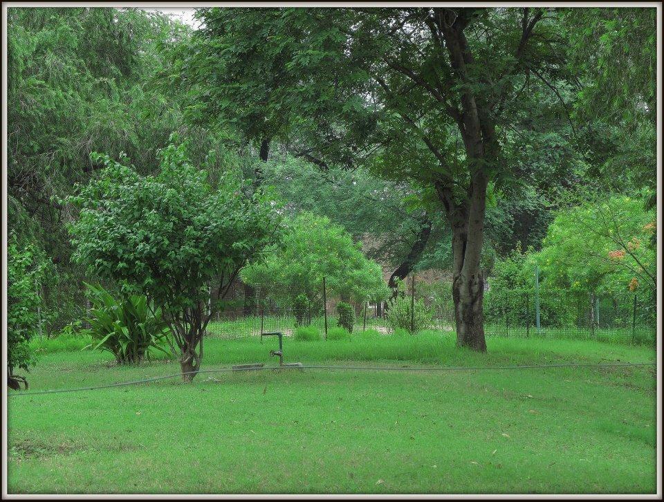 Hotel Bharatpur Ashok Exterior foto